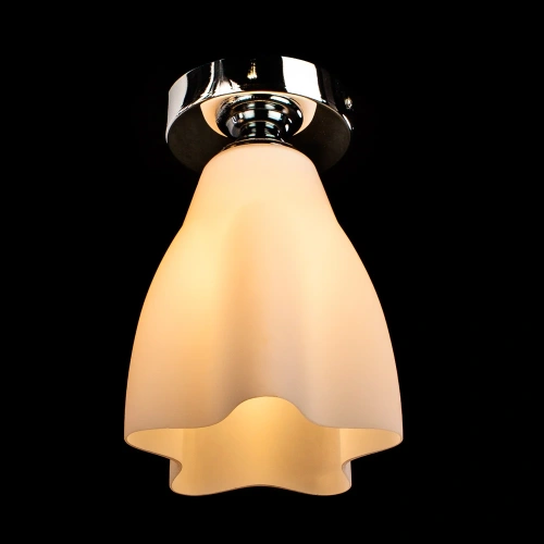 Потолочный светильник Arte Lamp CANZONE A3469PL-1CC фото 2