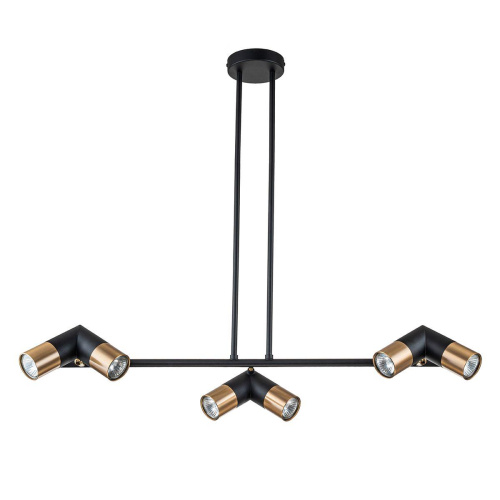 Подвесная люстра Indigo Doppio 11036/6R Black V000452 фото 2 Подвесная люстра Indigo Doppio 11036/6R Black V000452 фото 2