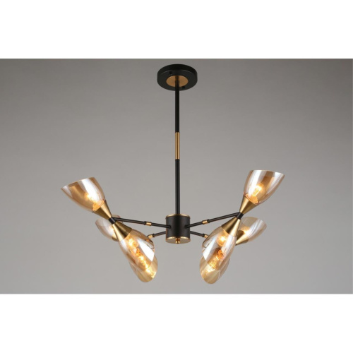 Люстра потолочная OML-66807-08 фото 4 Люстра потолочная OML-66807-08 фото 4