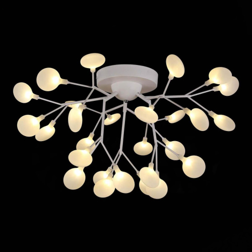 Потолочная люстра Evoluce Avola SLE250102-27 фото 4