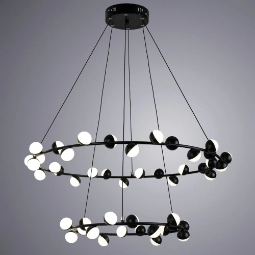 Подвесная люстра Arte Lamp DEXTER A3619SP-48BK фото 2 Подвесная люстра Arte Lamp DEXTER A3619SP-48BK фото 2