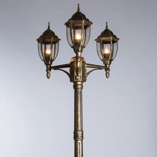 Парковый светильник Arte Lamp PEGASUS A3151PA-3BN фото 2