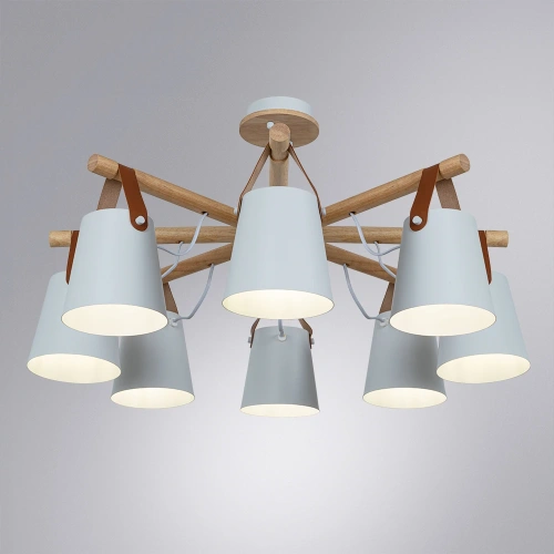 Потолочная люстра Arte Lamp THOMAS A7032PL-8WH фото 2