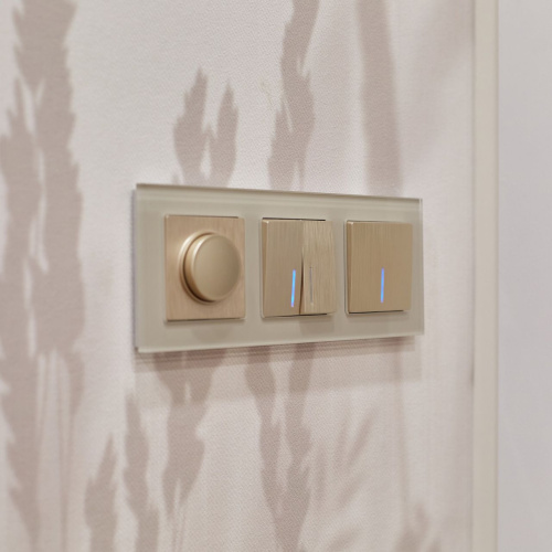 Выключатель одноклавишный с подсветкой (шампань рифленый) W1110110 фото 3