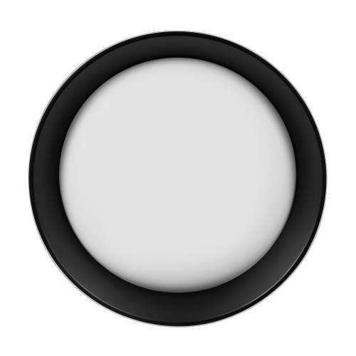 10202 WB  Потолочный светильник  LOFT IT Coin фото 4