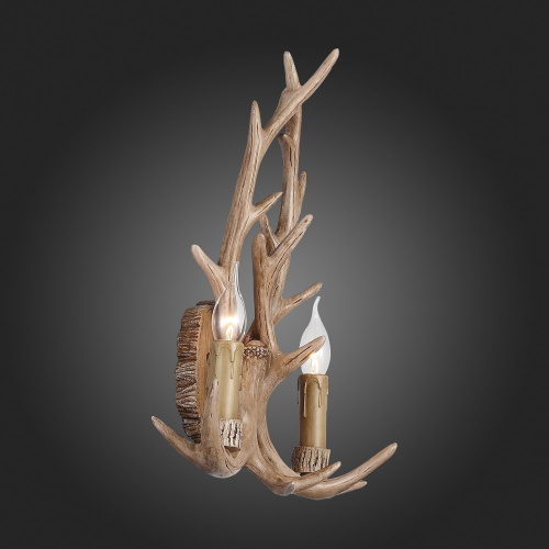 SL153.701.02 Бра ST-Luce Светло-Коричневый E14 2*40W RENNA фото 8