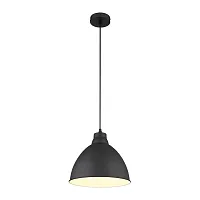 Подвесной светильник Arte Lamp BRACCIO A2055SP-1BK