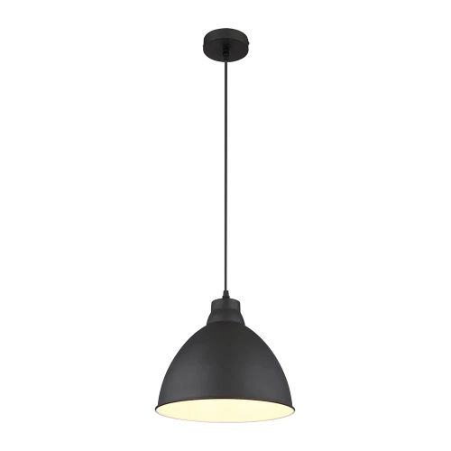 Подвесной светильник Arte Lamp BRACCIO A2055SP-1BK Подвесной светильник Arte Lamp BRACCIO A2055SP-1BK