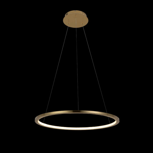 10014M Подвесной светильник LOFT IT Ring фото 4