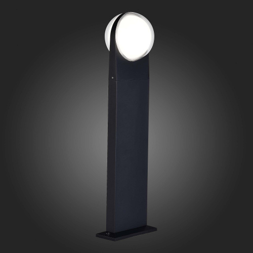 SL9510.405.01 Светильник уличный наземный ST-Luce Черный/Белый LED 2*6W 4000K CELESTE фото 5