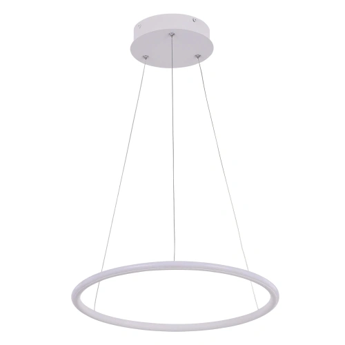Подвесная люстра Arte Lamp RAPID A2500SP-1WH Подвесная люстра Arte Lamp RAPID A2500SP-1WH