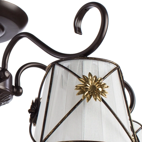 Потолочная люстра Arte Lamp FORTUNA A5495PL-5BR фото 3
