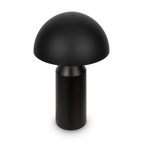 Настольная лампа Freya Eleon FR5218TL-02B1 фото 9