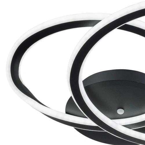 Потолочная люстра ARTE LAMP SIERRA A2211PL-2BK фото 2