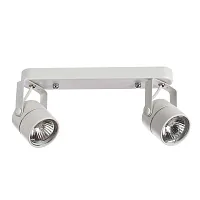Спот Arte Lamp LENTE A1310PL-2WH