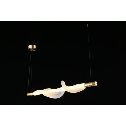 Люстра подвесная APL.647.03.12 фото 12