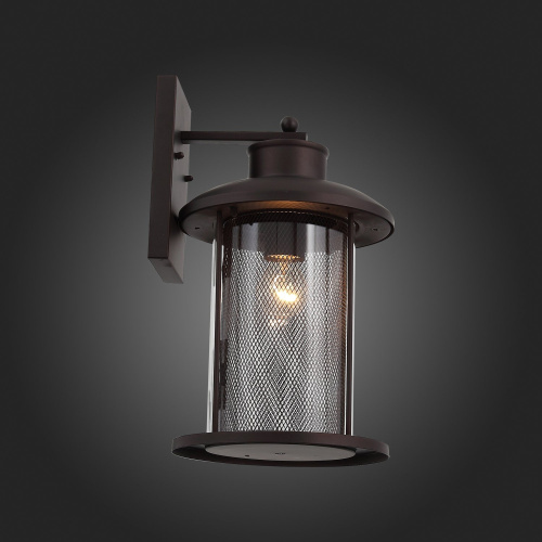 SL080.401.01 Светильник уличный настенный ST-Luce Темный кофе/Прозрачный, Темный кофе E27 1*60W LASTERO фото 8
