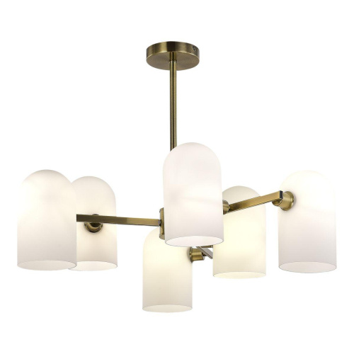 Подвесная люстра Evoluce Nobilia SLE1047-302-06 фото 4