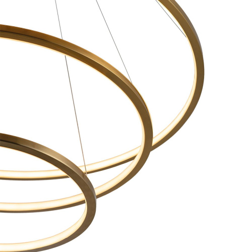 10015/3 Подвесной светильник LOFT IT Ring фото 4