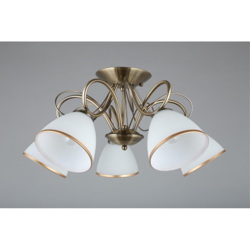 Люстра потолочная OML-25307-05 фото 5 Люстра потолочная OML-25307-05 фото 5