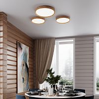 3019/DL TAN SN 175 Светильник пластик/под дер. LED 48Вт 3000-6300 D390 IP43 пульт ДУ/ LampSmart WOODI