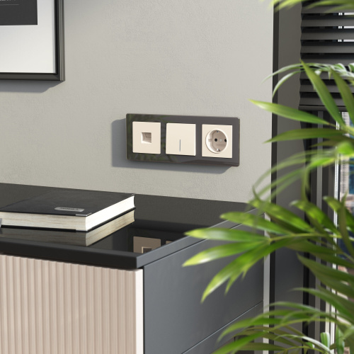 Розетка Ethernet RJ-45 (айвори матовый) W1181062 фото 2 Розетка Ethernet RJ-45 (айвори матовый) W1181062 фото 2