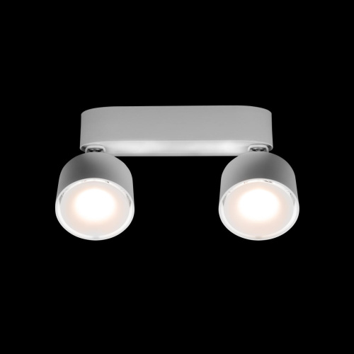 10323/2A White Накладной светильник LOFT IT Focus фото 4 10323/2A White Накладной светильник LOFT IT Focus фото 4