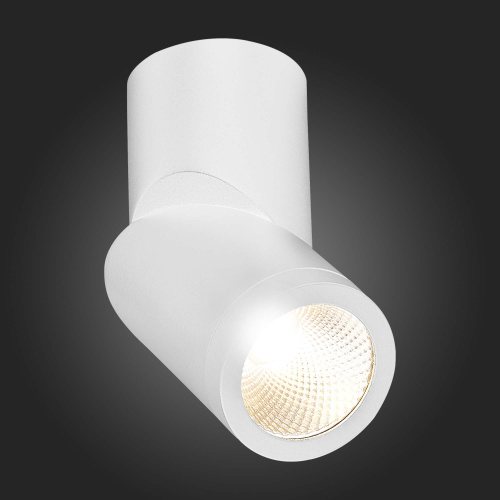 ST650.532.10 Светильник потолочный Белый LED 1*10W 3000K 800Lm Ra>90 38° IP44 D62xH151 165-265V Накладные светильники фото 6