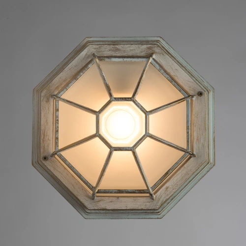 Уличный потолочный светильник Arte Lamp PEGASUS A3121PF-1WG фото 2 Уличный потолочный светильник Arte Lamp PEGASUS A3121PF-1WG фото 2