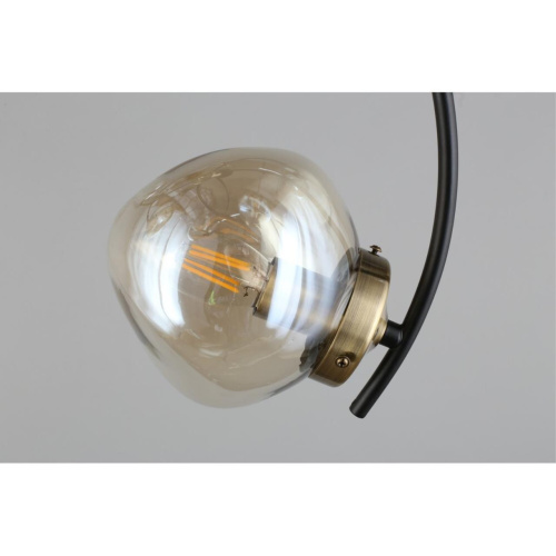 Люстра потолочная OML-95307-06 фото 11 Люстра потолочная OML-95307-06 фото 11