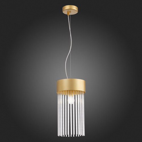 SL1225.203.01 Светильник подвесной ST-Luce Золотистый/Золотистый, Прозрачный E27 1*60W CONTATTO фото 9