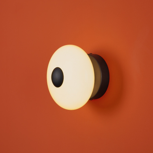 Настенный светильник (бра) Freya FR5553WL-L6B фото 11