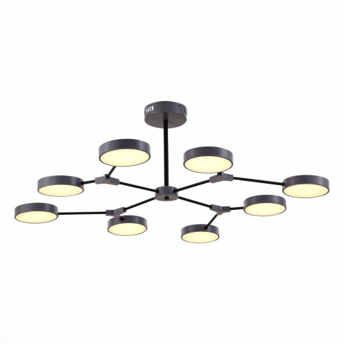 Потолочная светодиодная люстра Evoluce Monta SLE6003-702-08 фото 5