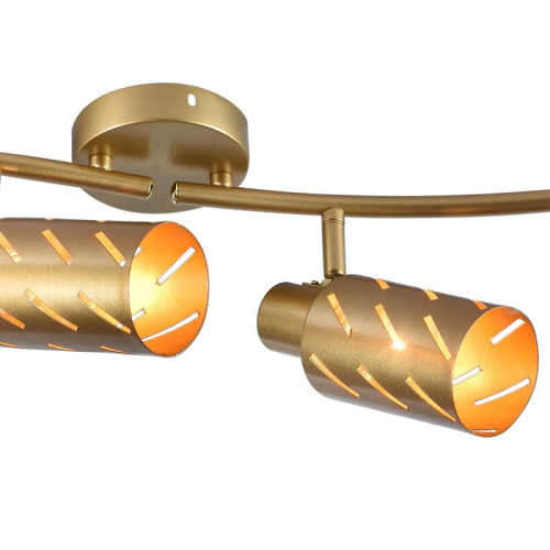 Спот Reluce 05970-0.8-04 GOLD фото 4 Спот Reluce 05970-0.8-04 GOLD фото 4