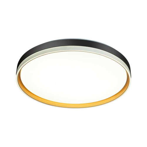 Настенно-потолочный светодиодный светильник Sonex Savi 7619/DL фото 7