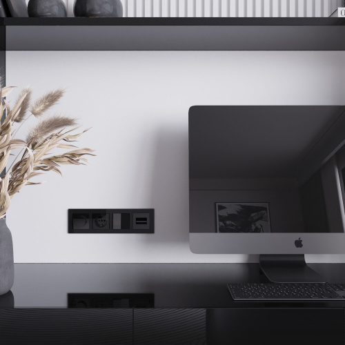 Накладка для двойной розетки Еthernet RJ-45 (черный акрил) W1191148 фото 2