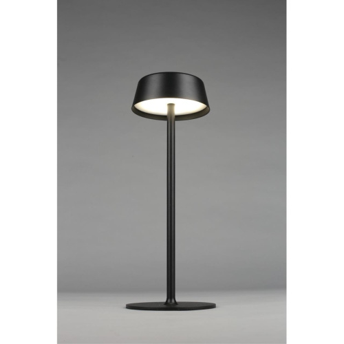 Настольная лампа OML-40504-01 фото 6