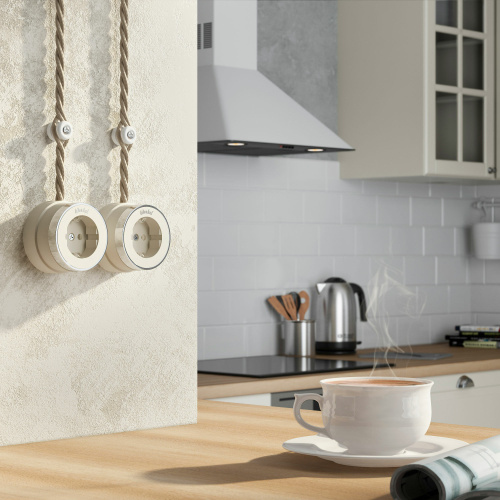 Розетка с заземлением Vintage слоновая кость матовый/хром W5871055 фото 4 Розетка с заземлением Vintage слоновая кость матовый/хром W5871055 фото 4