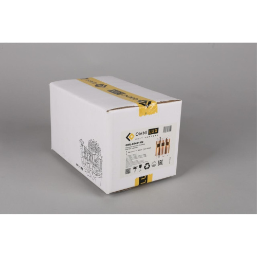 Светильник настенный (Бра) OML-69401-02 фото 2 Светильник настенный (Бра) OML-69401-02 фото 2