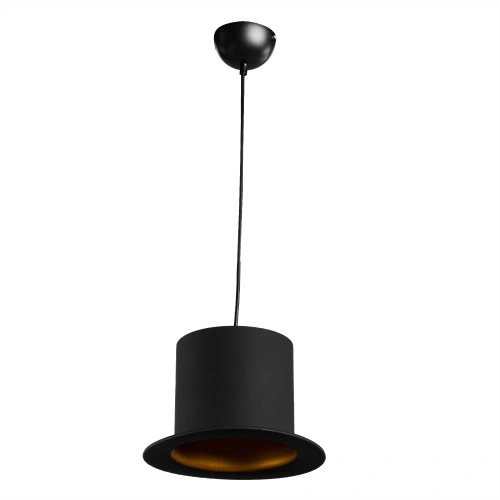 Подвесной светильник Arte Lamp CAPPELLO A3236SP-1BK Подвесной светильник Arte Lamp CAPPELLO A3236SP-1BK