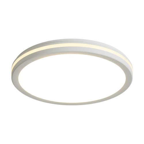 Потолочный светильник Freya Руа / Rua FR6160CL-L40W Потолочный светильник Freya Руа / Rua FR6160CL-L40W