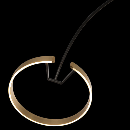 10027 Торшер LOFT IT Ring фото 2 10027 Торшер LOFT IT Ring фото 2