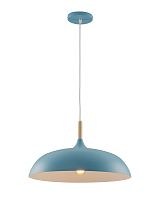 Светильник подвесной Moderli V11452-1P Hygo