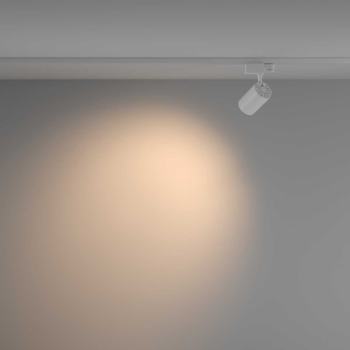 Трековый светильник Voltega Тринилайт / Trinilight TR-VGL029-3-10W3K-W-W фото 4 Трековый светильник Voltega Тринилайт / Trinilight TR-VGL029-3-10W3K-W-W фото 4