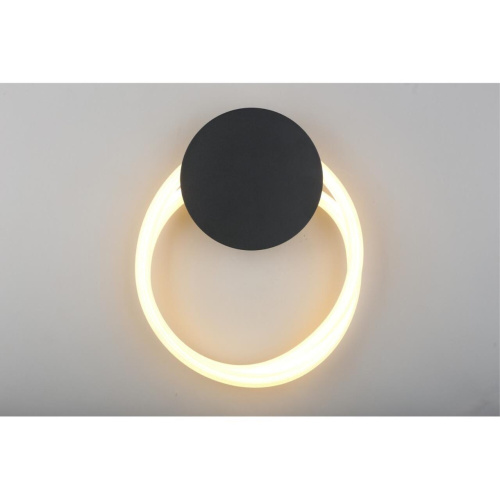 Светильник настенный (Бра) APL.773.01.43 фото 9