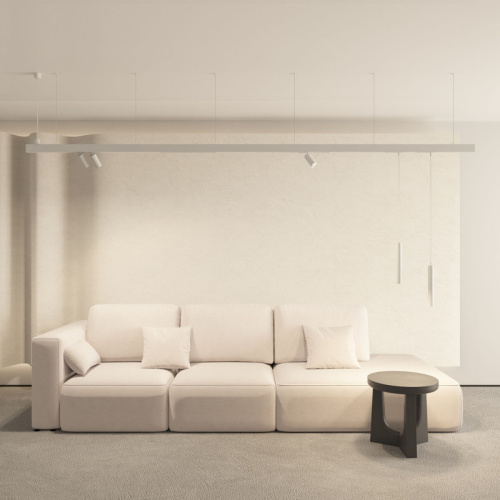 Светильник на шине Denkirs SMART SPOT | СМАРТ СПОТ DK8012-WH фото 2