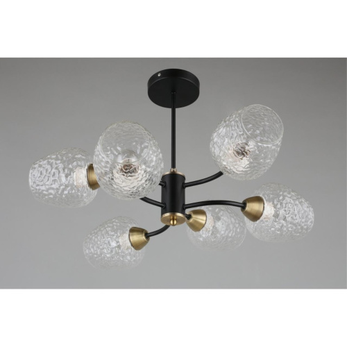 Люстра потолочная OML-67807-06 фото 6