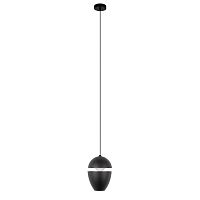 10336 Black Подвесной светильник LOFT IT Viterbo