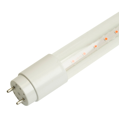 Лампа светодиодная для растений T8 Feron LB-7063 G13 стекло 0,6м 11W 175-265V красно-синий спектр фото 5
