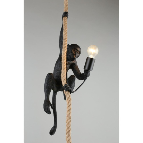 Светильник подвесной APL.309.16.01 фото 6 Светильник подвесной APL.309.16.01 фото 6